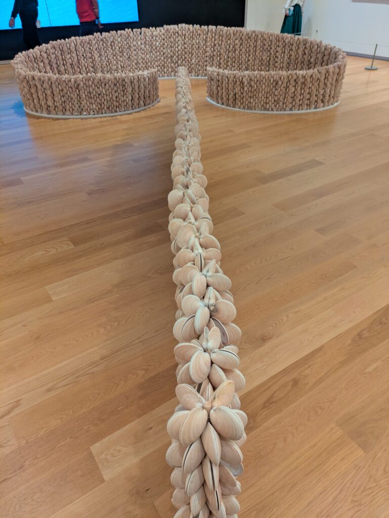gallery_seashell