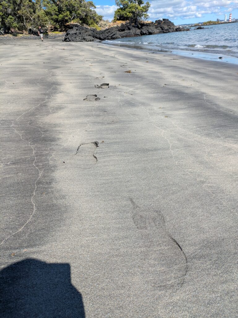 Rangitoto_beach