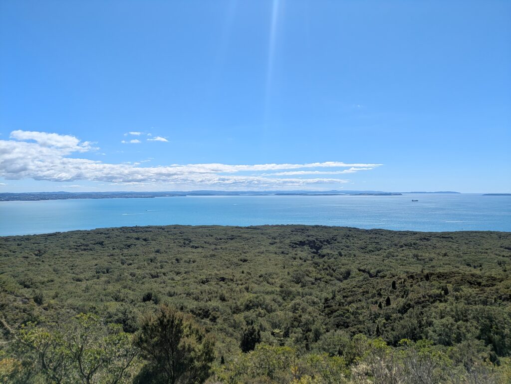 Rangitoto_summit