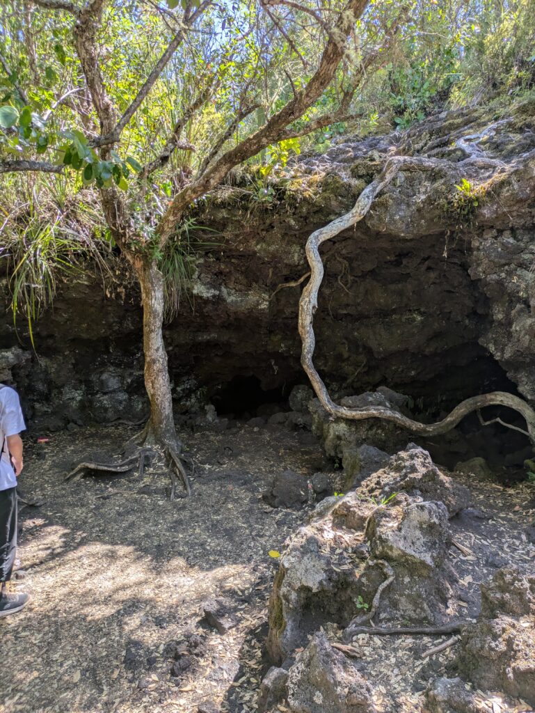 Rangitoto_cave