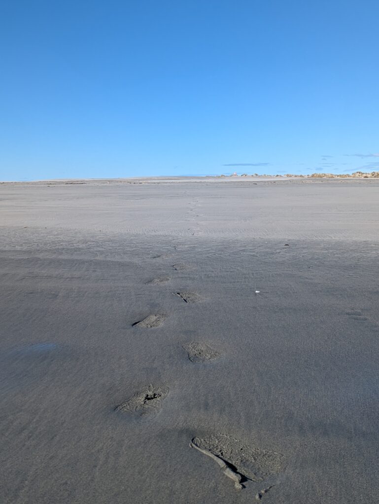 Dunes