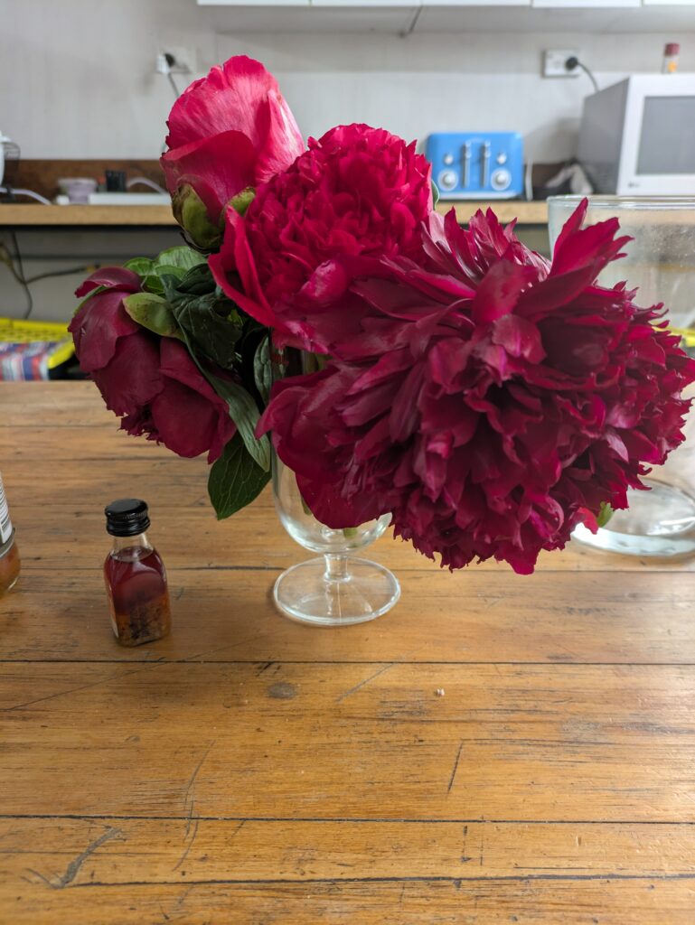 peony red charm