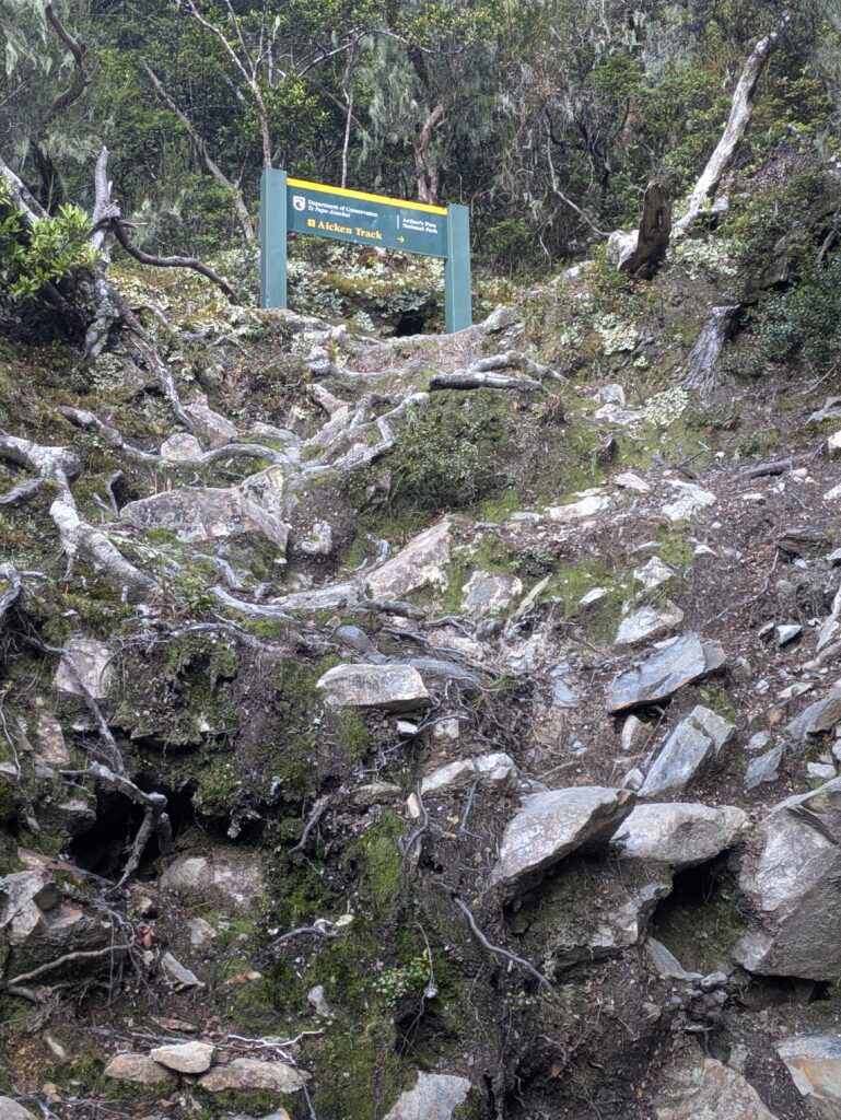 Arthurs pass Aicken track