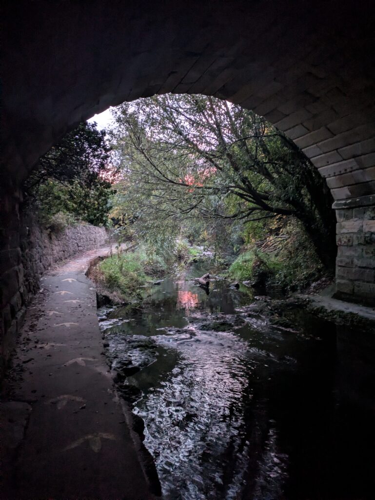 Oamaru river